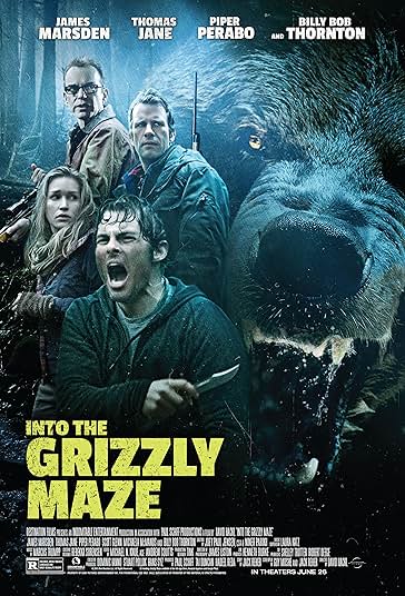 Into the Grizzly Maze